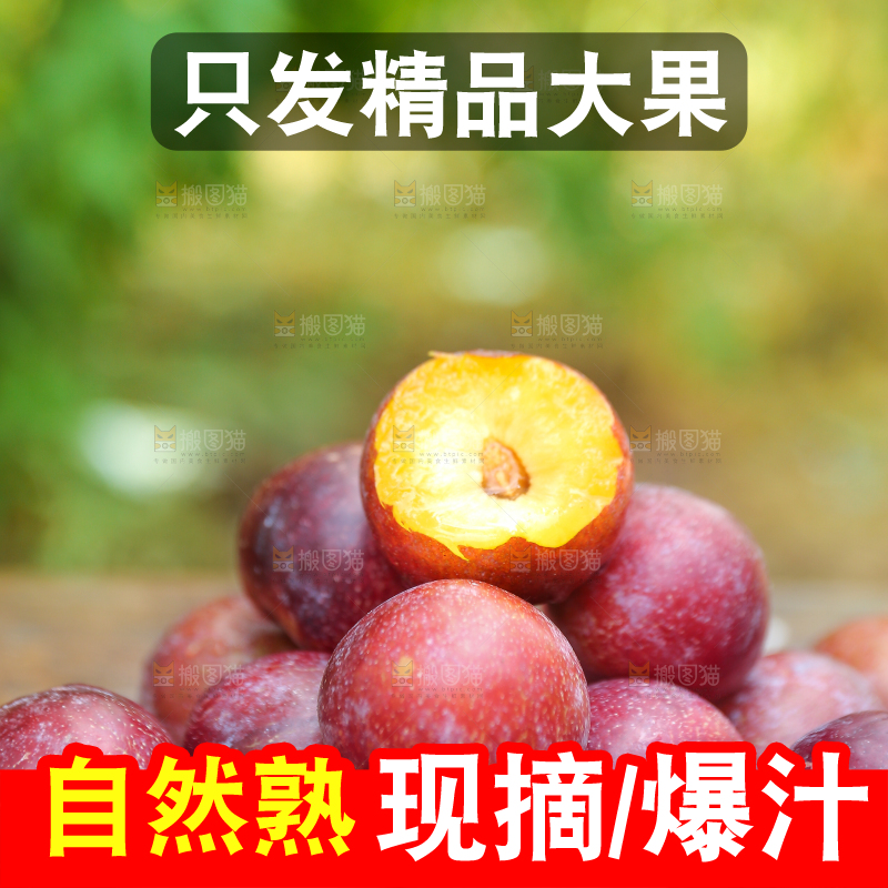 木底上放着红脱骨李