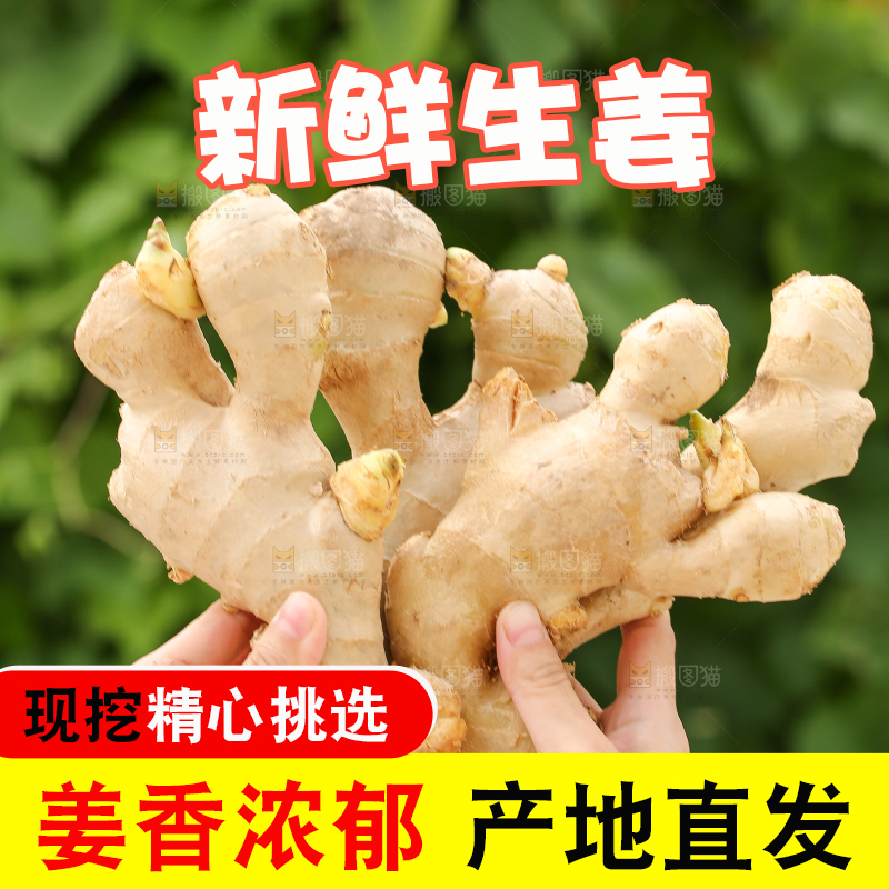 手里拿着生姜