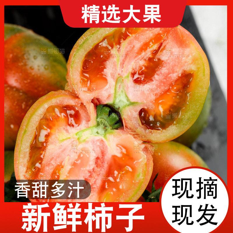 浅底上的铁皮西红柿