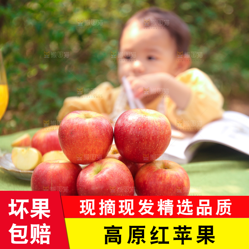 手里拿着高原红苹果