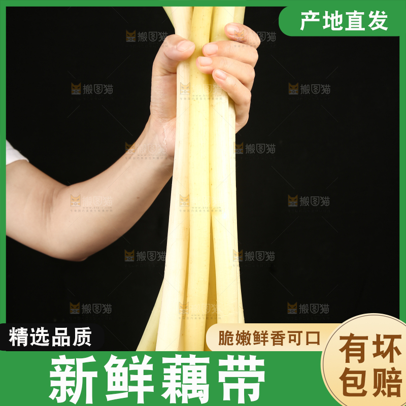 深底上放着藕带