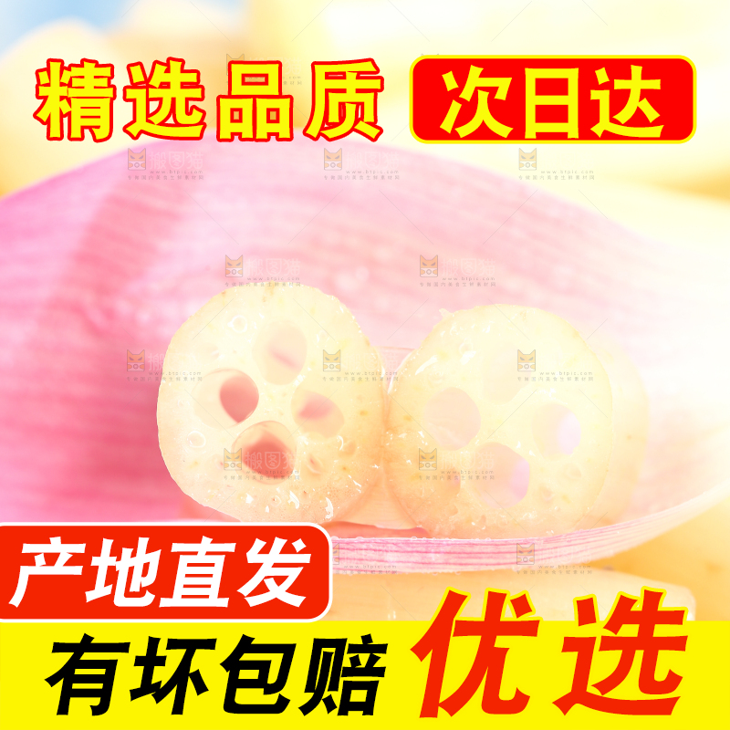 浅底上的藕带