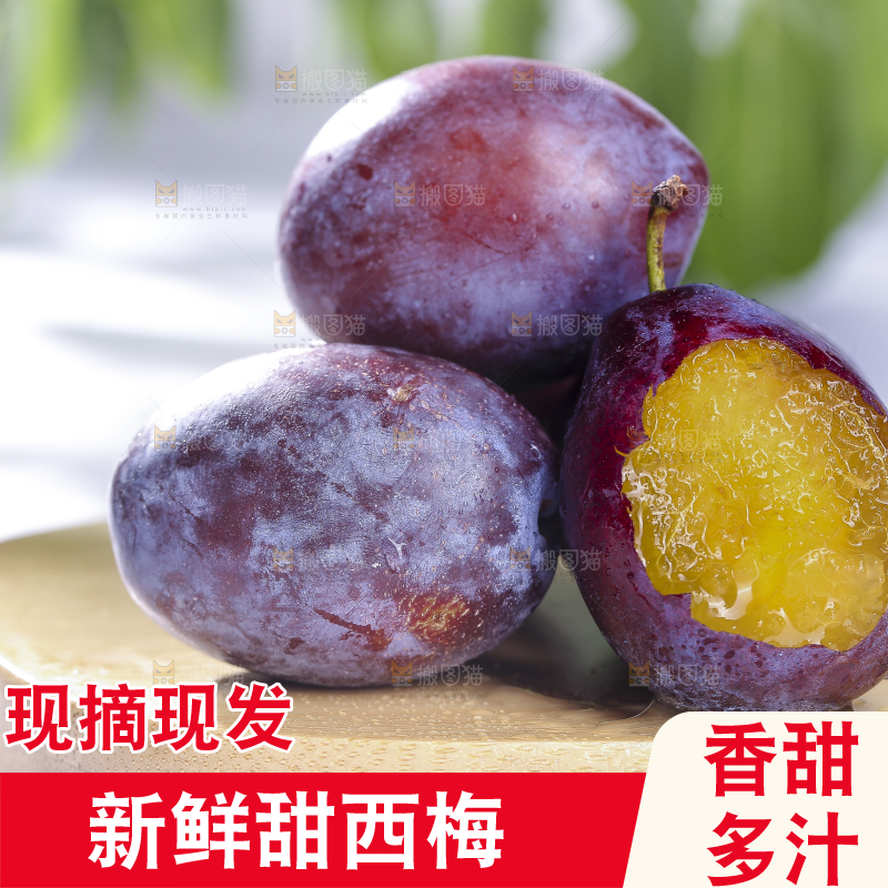 浅底上的西梅