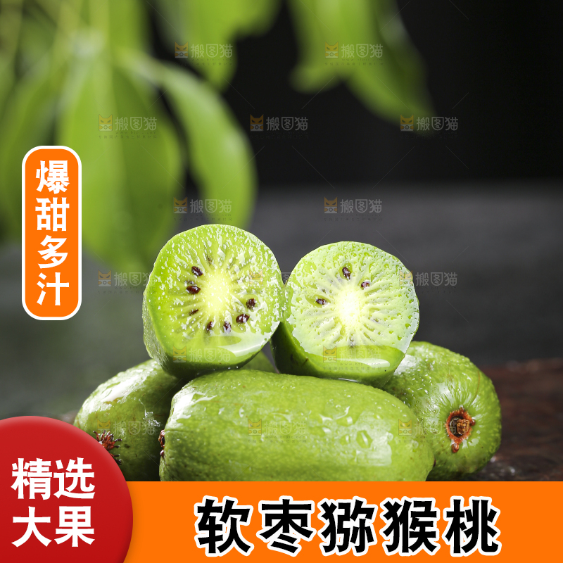 深底上的软枣猕猴桃