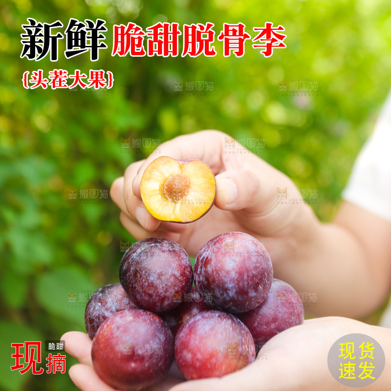 木底上放着红脱骨李