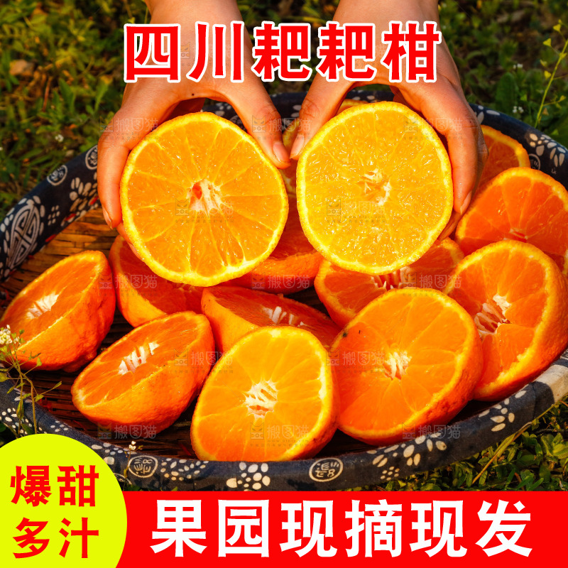 草地上的耙耙柑