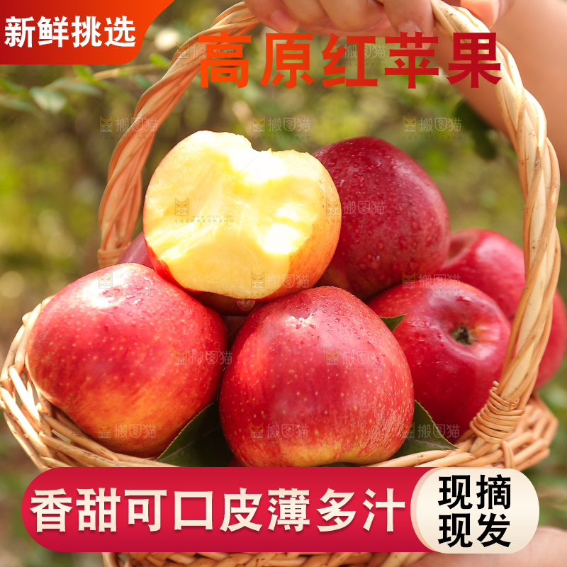 手里拿着高原红苹果