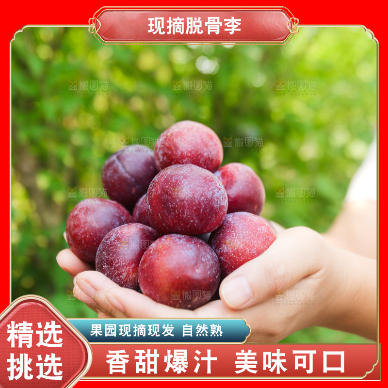木底上放着红脱骨李