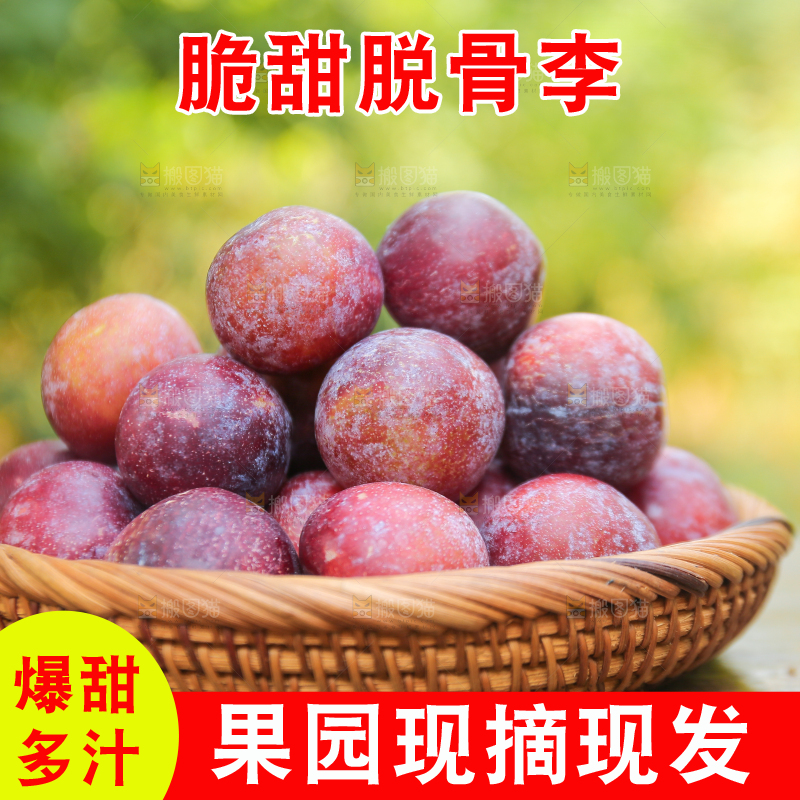 木底上放着红脱骨李
