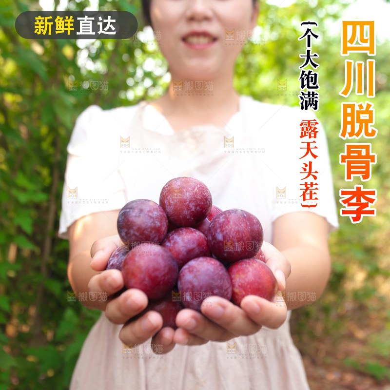 木底上放着红脱骨李