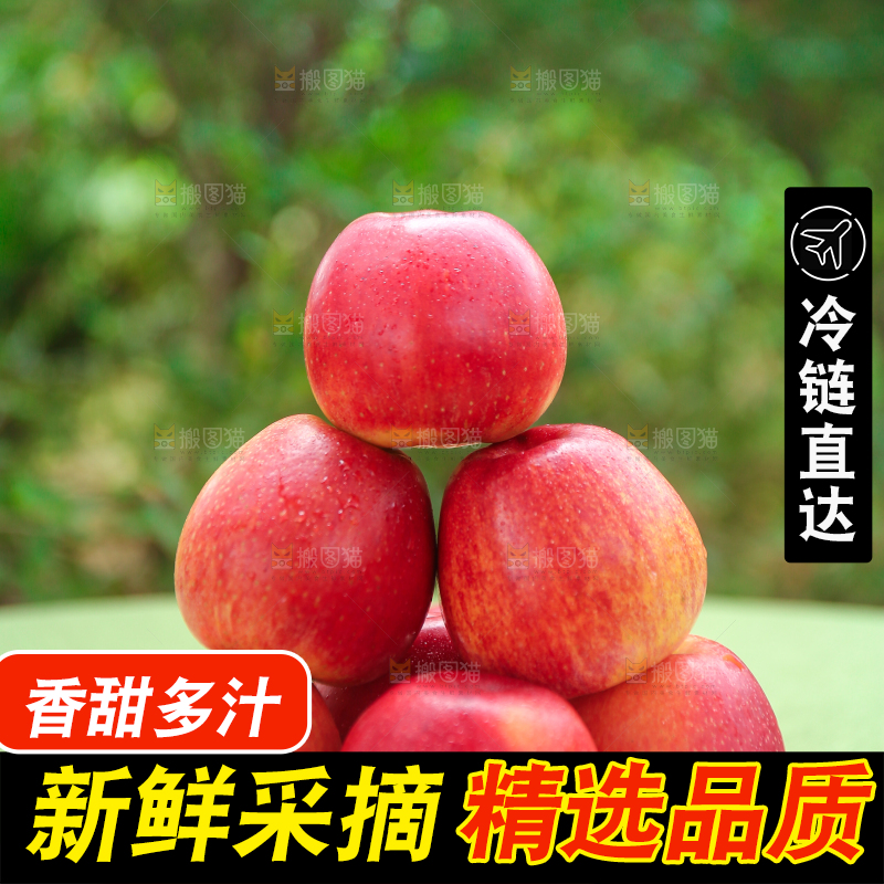手里拿着高原红苹果