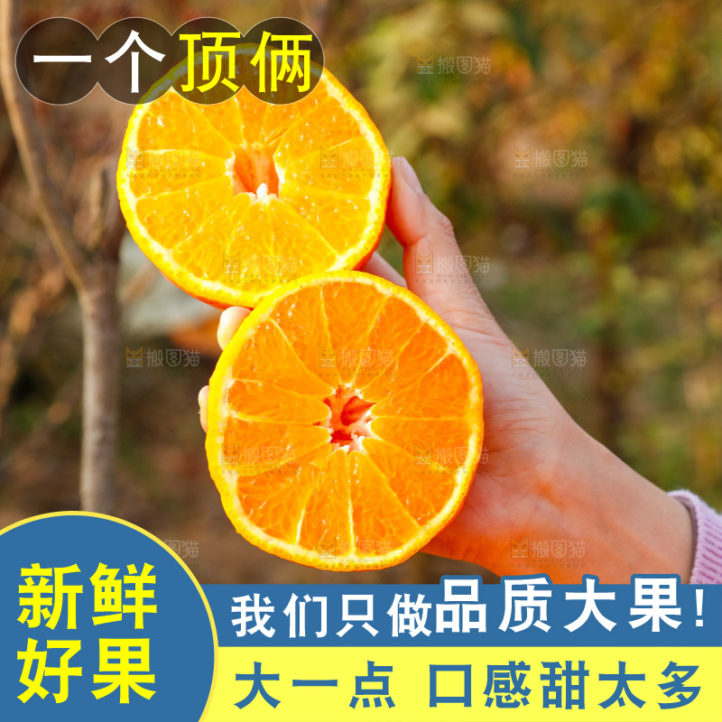 草地上的耙耙柑