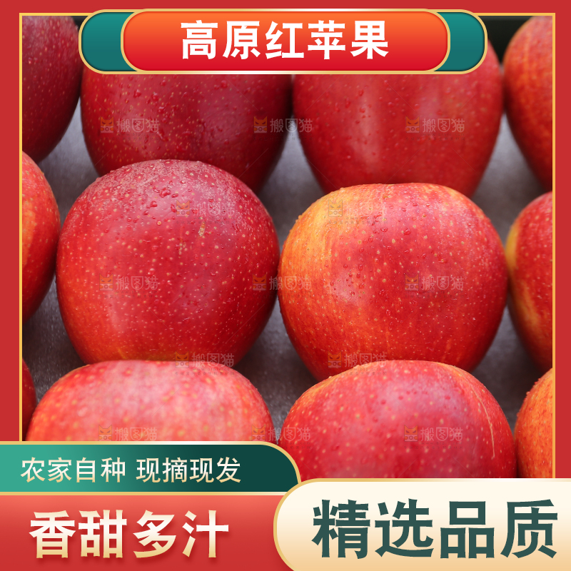 手里拿着高原红苹果