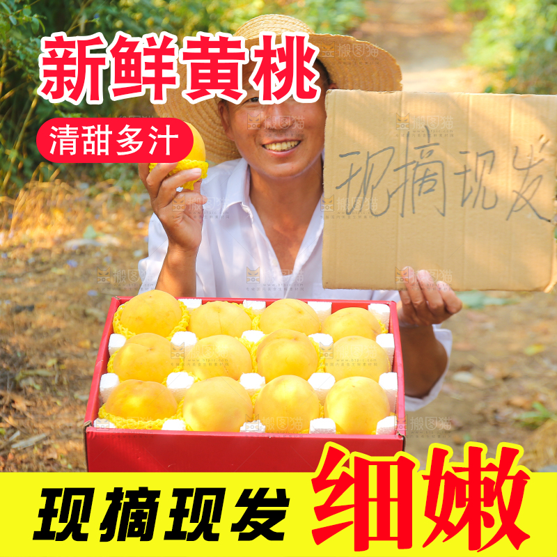 手里拿着炎陵黄桃