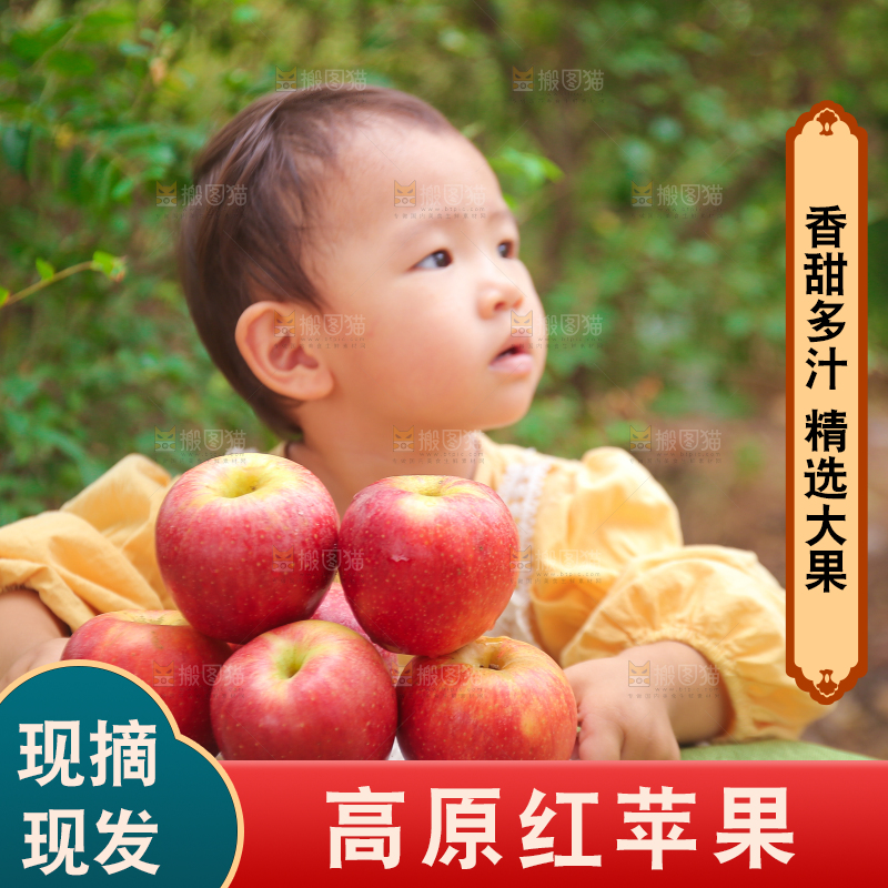 手里拿着高原红苹果