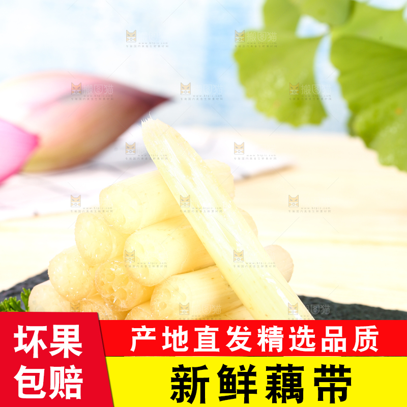 浅底上的藕带
