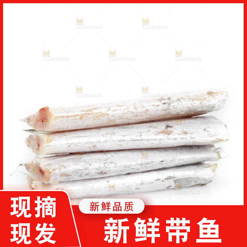 白底上的带鱼段