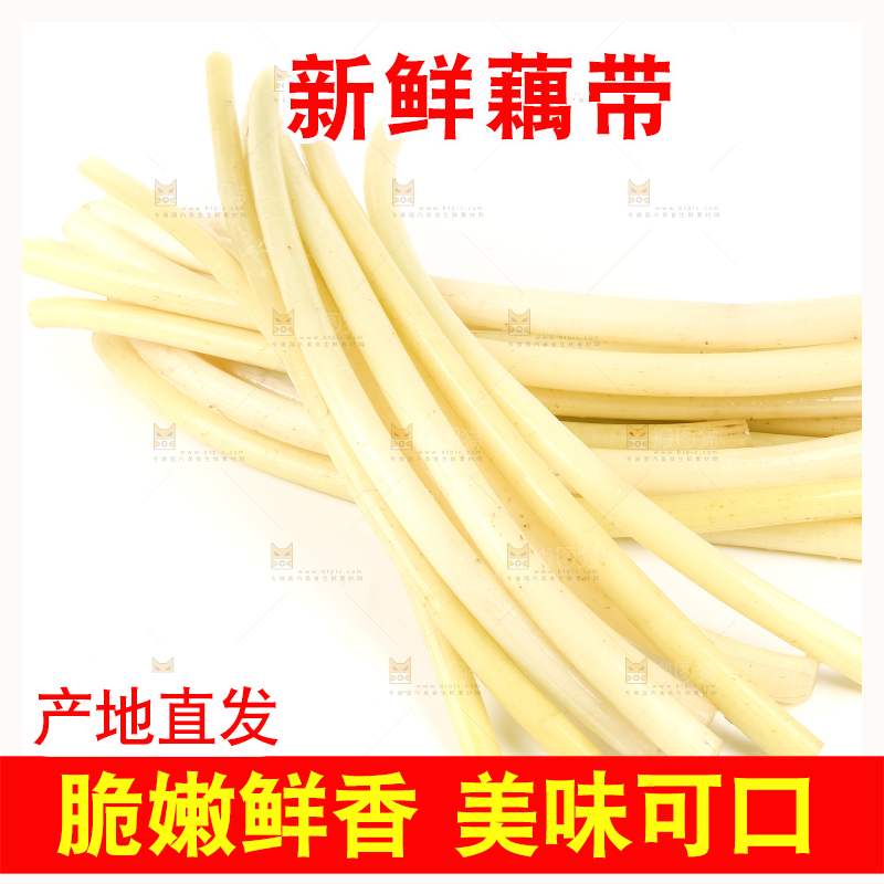 白底上摆放着新鲜藕带