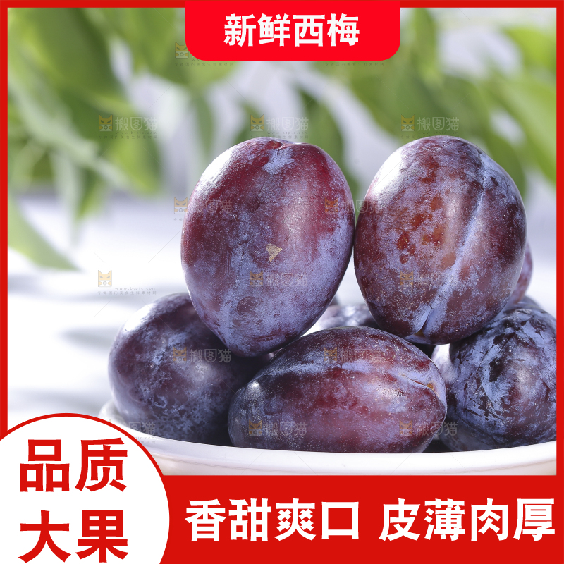 浅底上的西梅