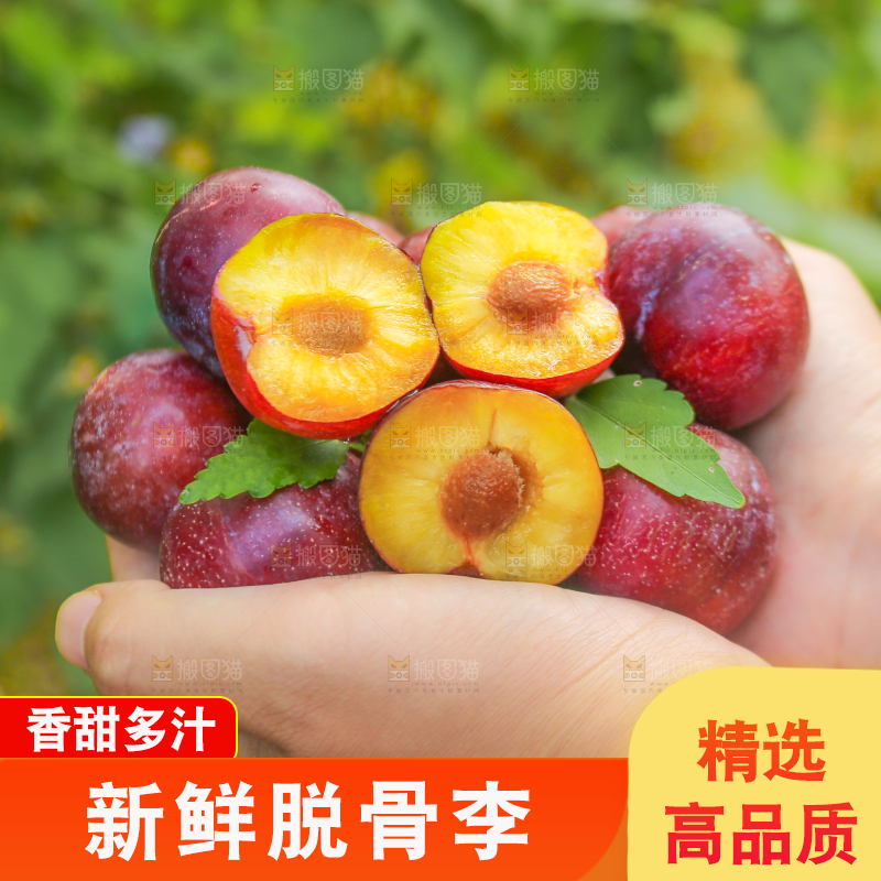 木底上放着红脱骨李