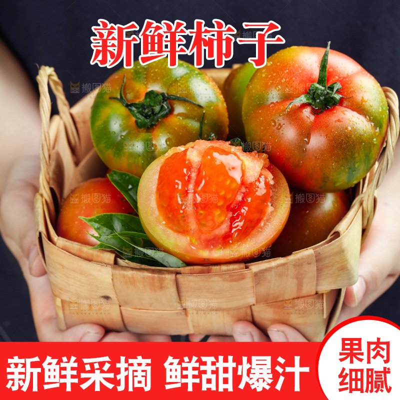 浅底上的铁皮西红柿