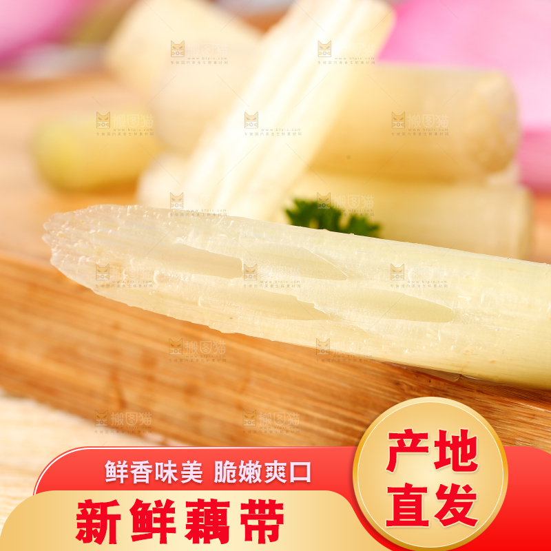 浅底上的藕带