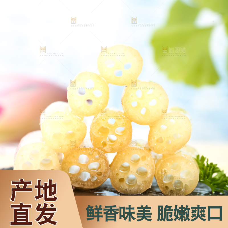 浅底上的藕带