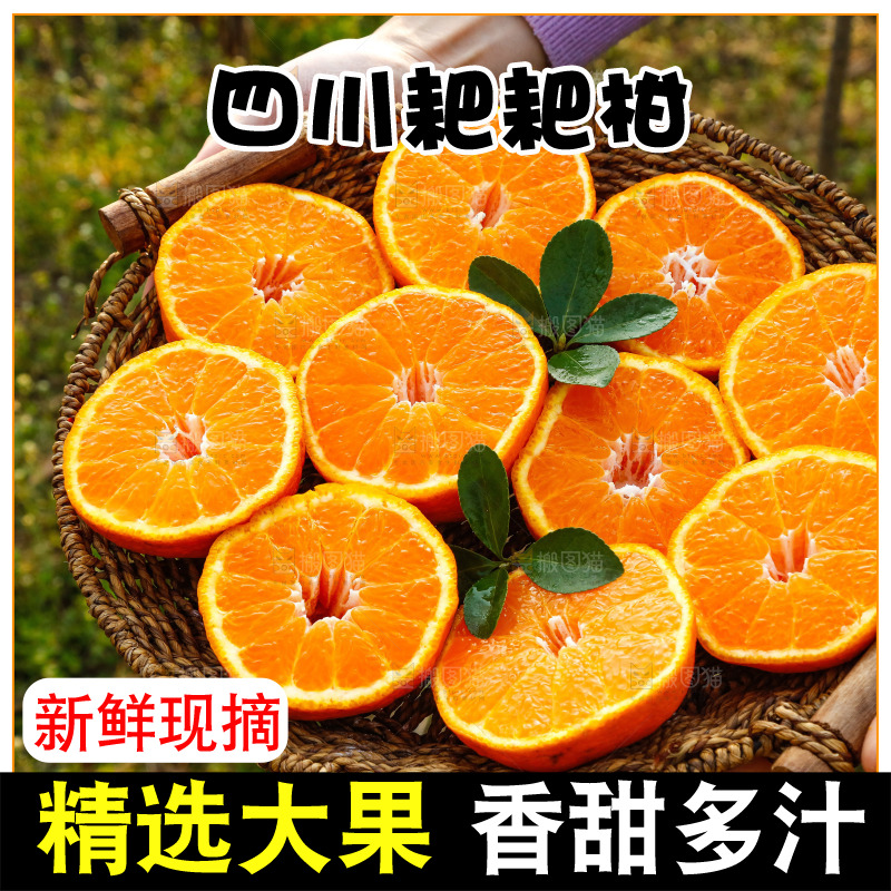 草地上的耙耙柑