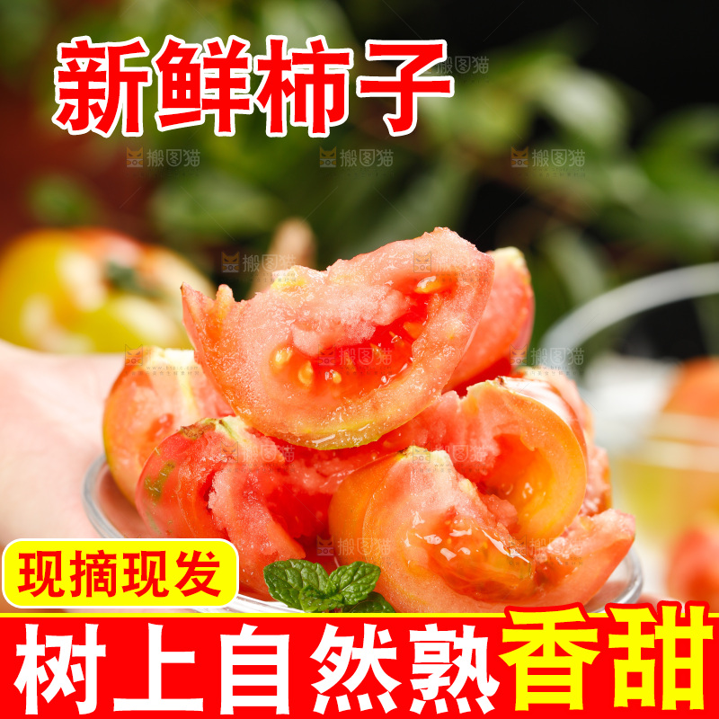 浅底上的铁皮西红柿