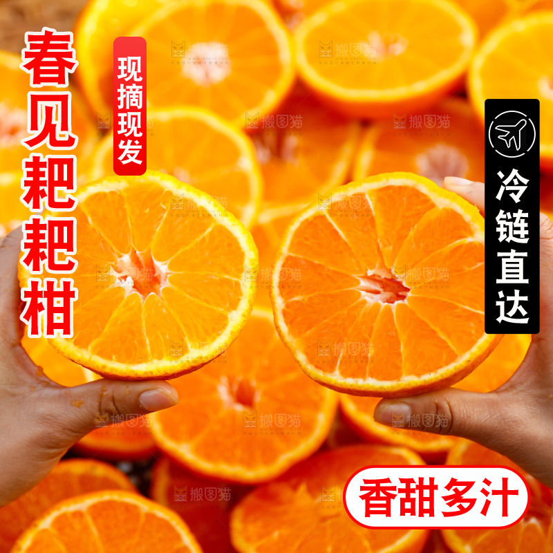 草地上的耙耙柑