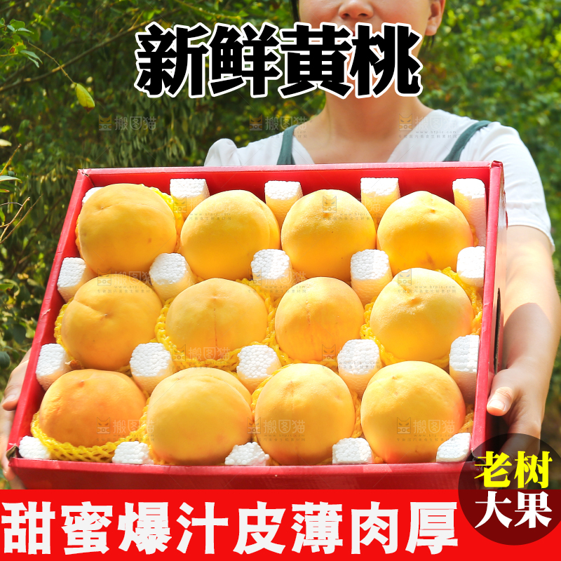 手里拿着炎陵黄桃