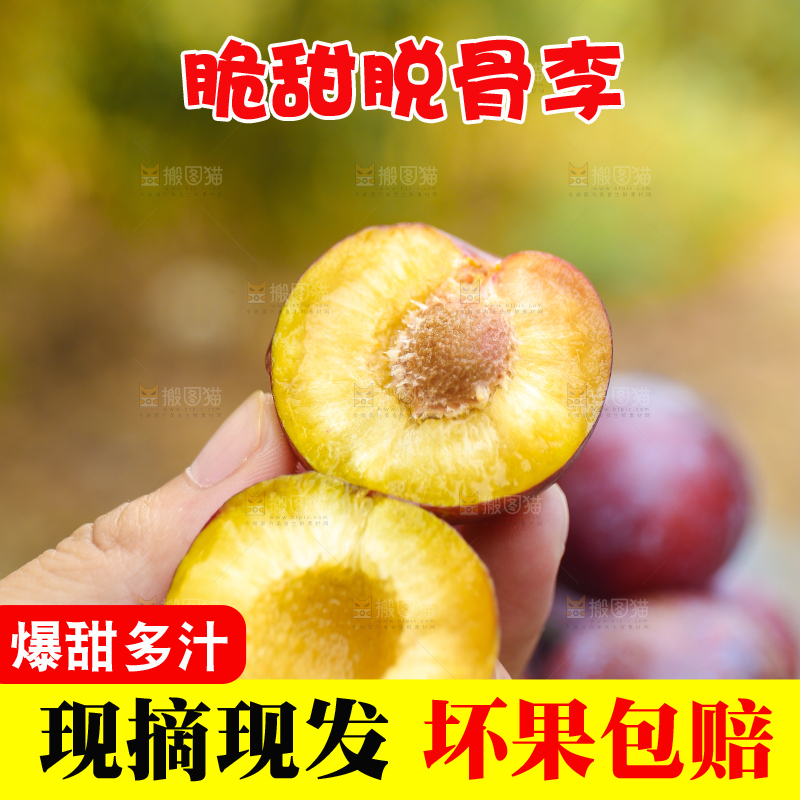 木底上放着红脱骨李