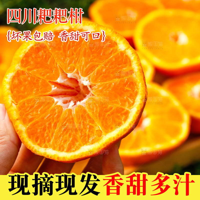 草地上的耙耙柑