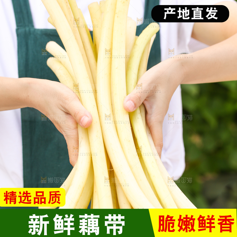 手里拿着藕带