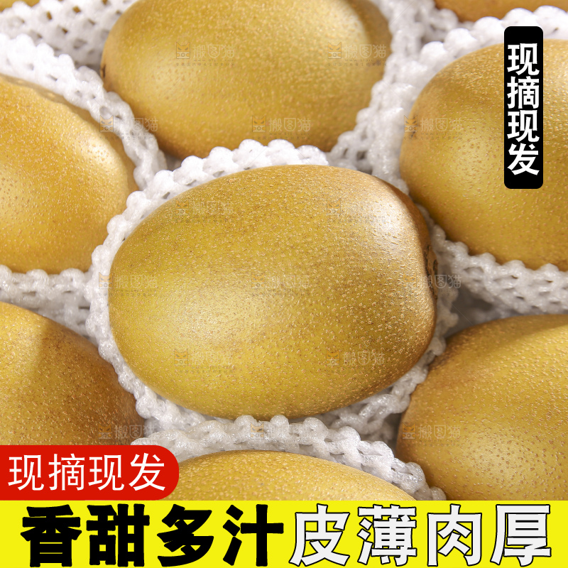 深底上放着佳沛奇异果