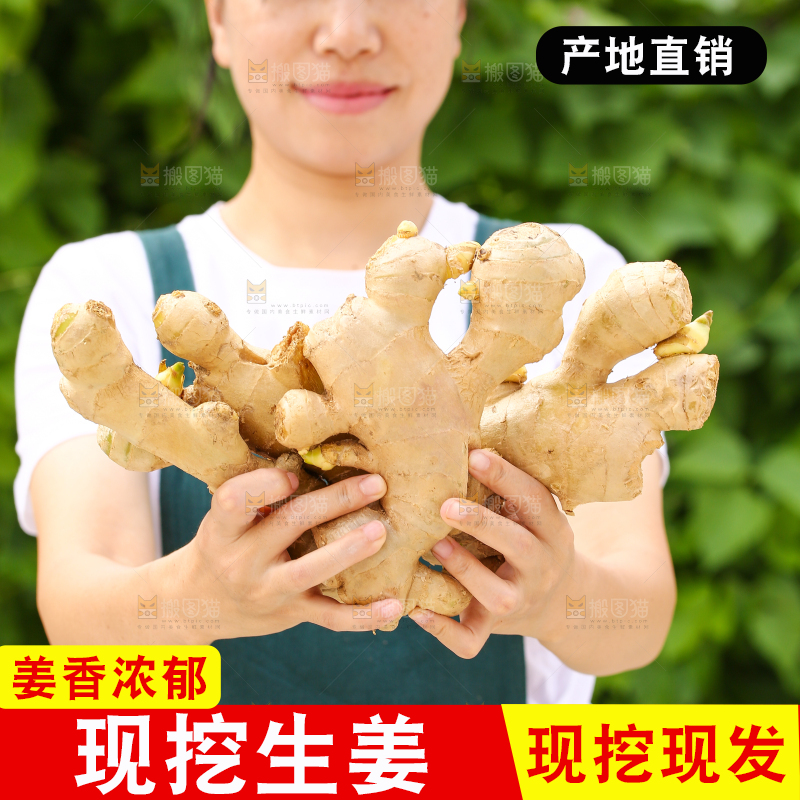 手里拿着生姜