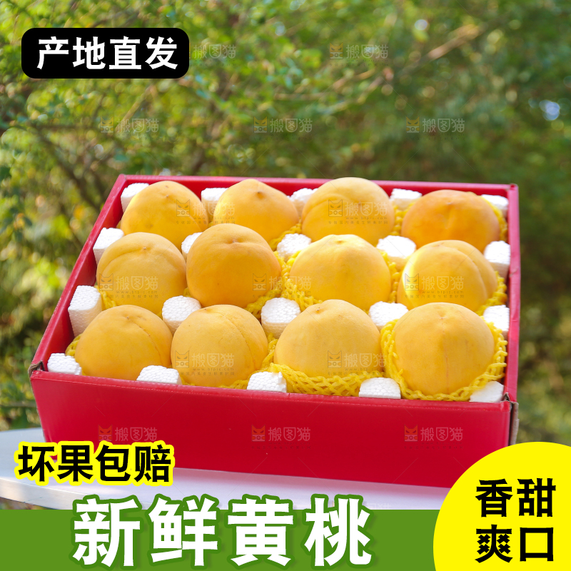 手里拿着炎陵黄桃