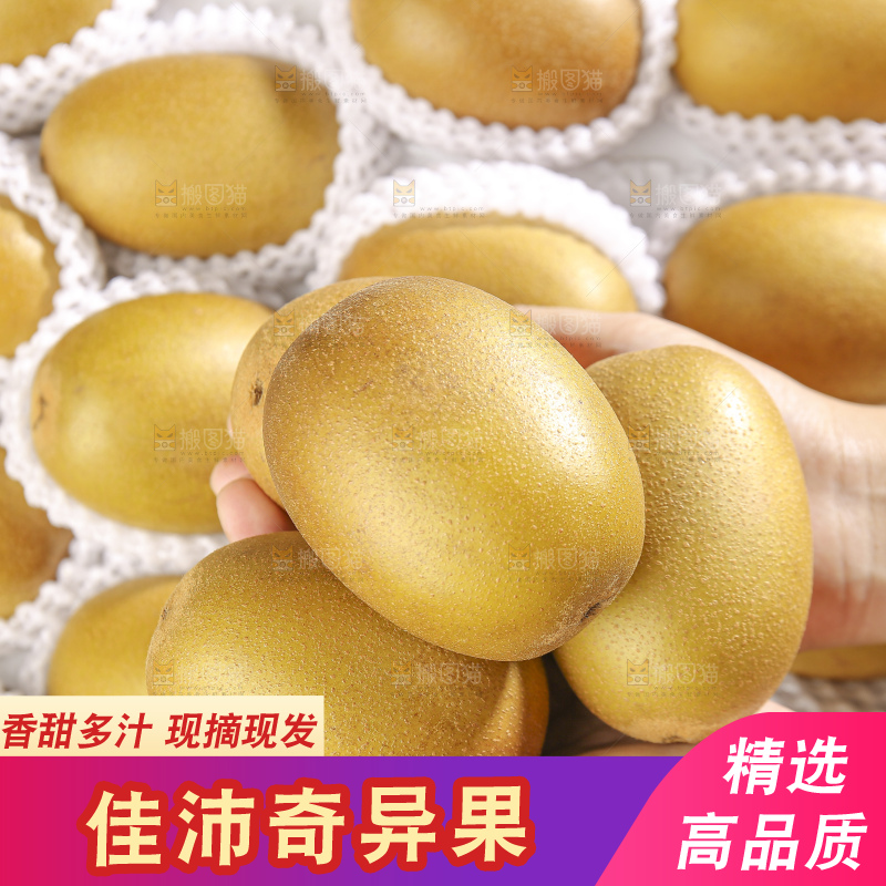 深底上放着佳沛奇异果