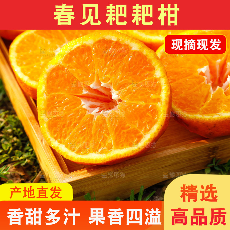 草地上的耙耙柑