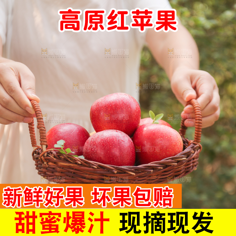 手里拿着高原红苹果