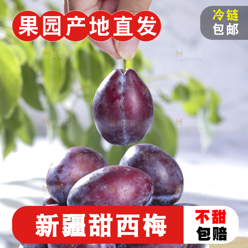 浅底上的西梅