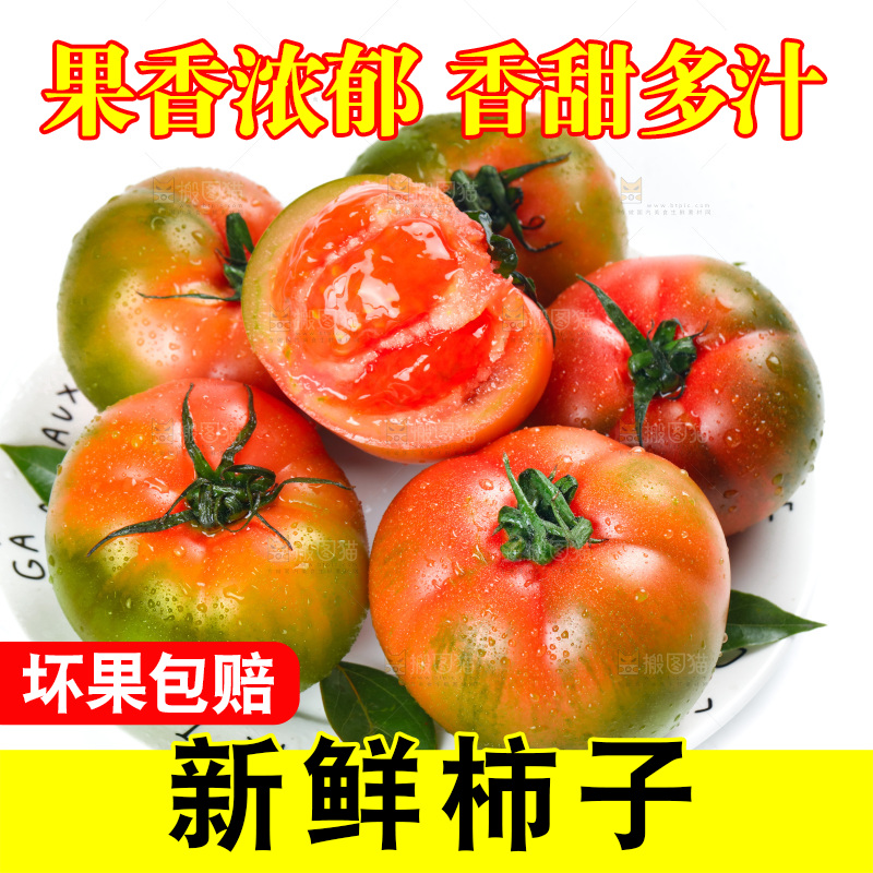 白底上放着铁皮西红柿