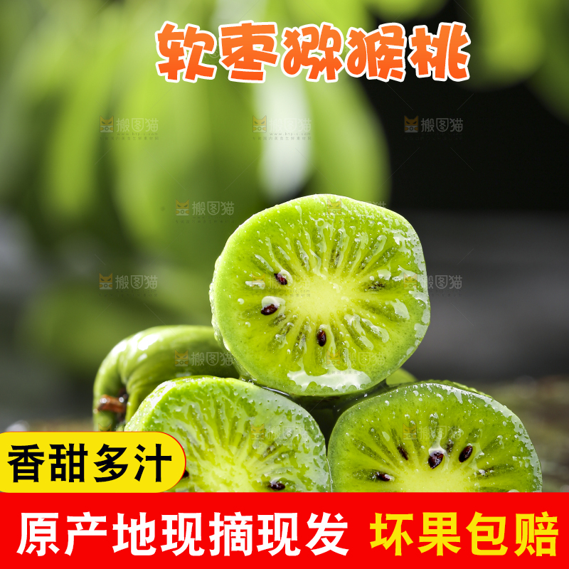 深底上的软枣猕猴桃