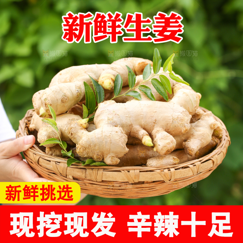 手里拿着生姜