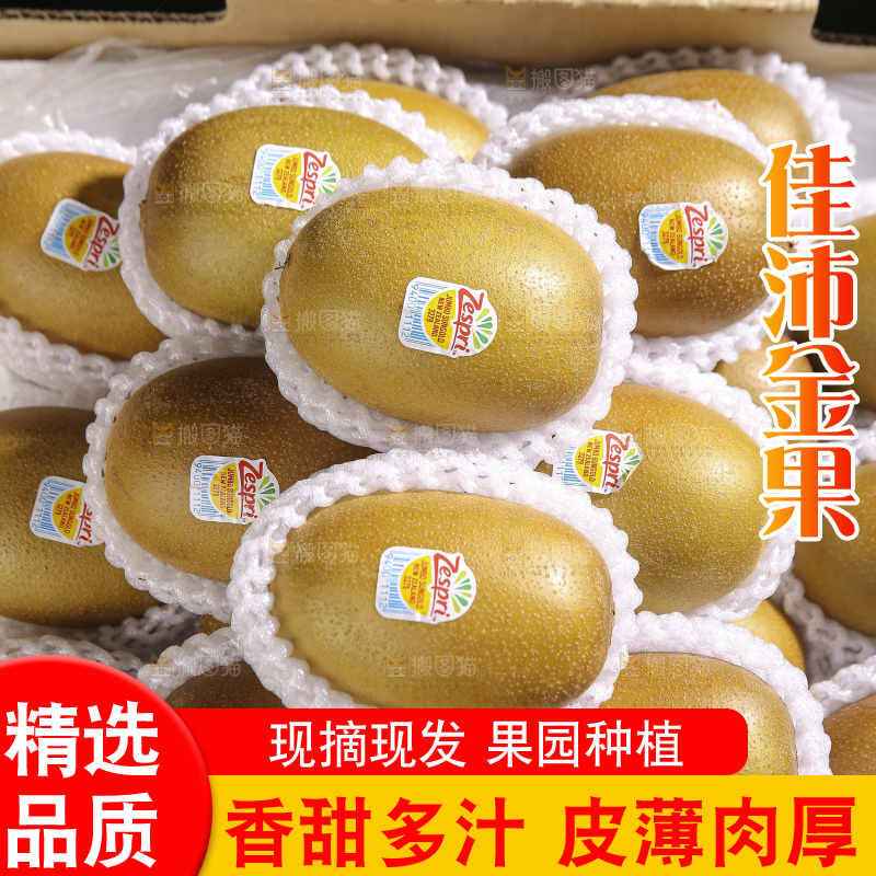 深底上放着佳沛奇异果