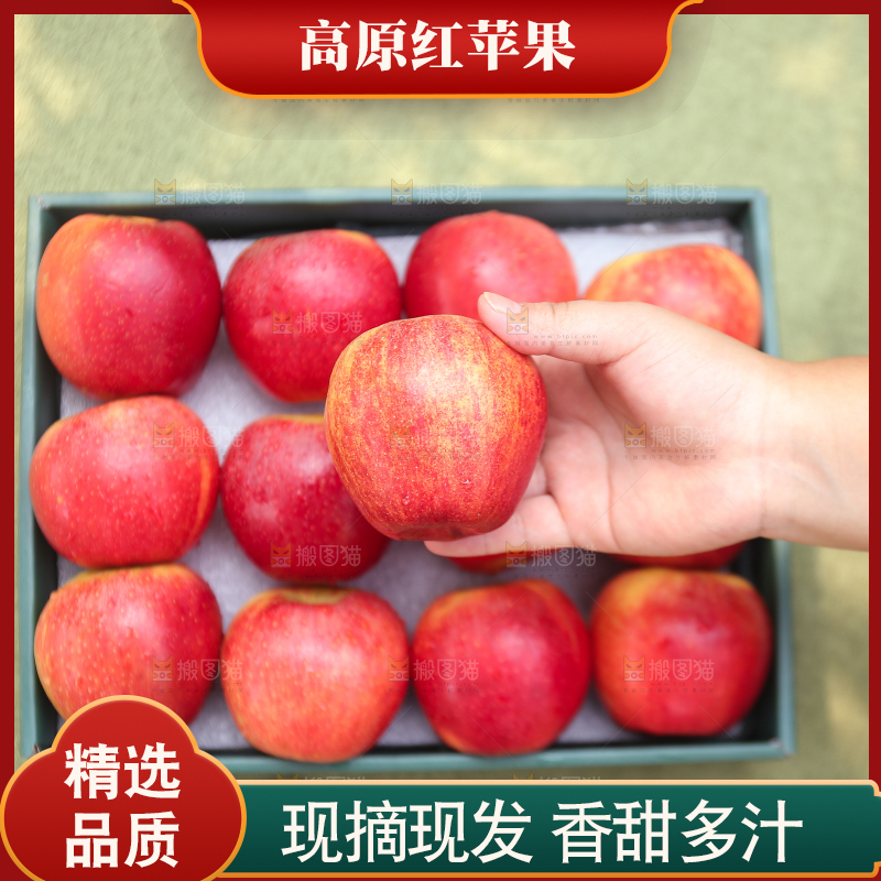 手里拿着高原红苹果