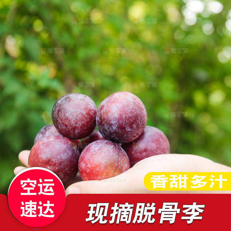 木底上放着红脱骨李
