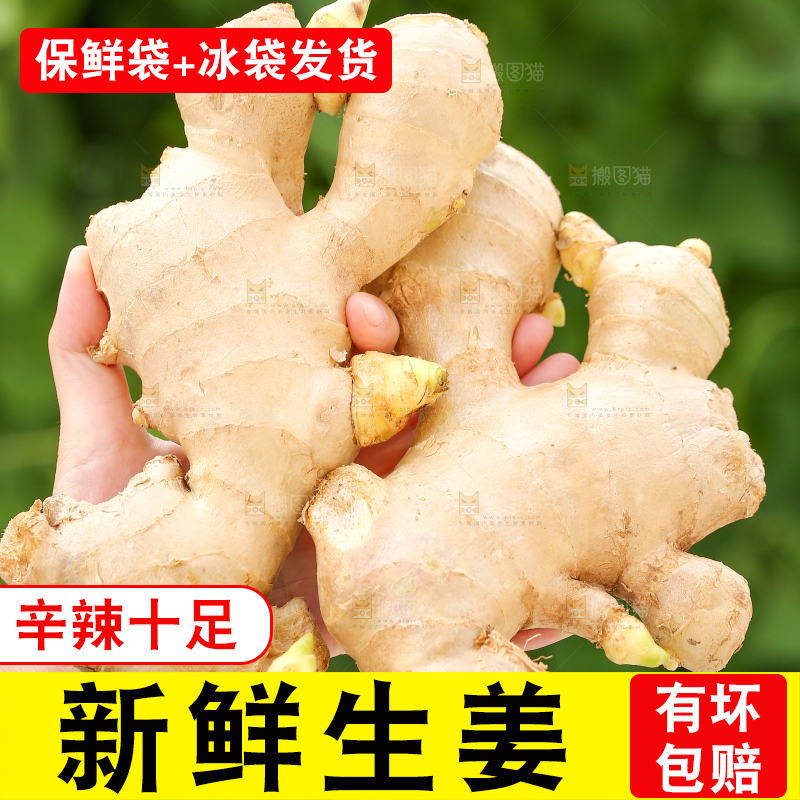 手里拿着生姜