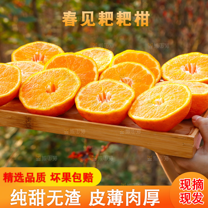 草地上的耙耙柑