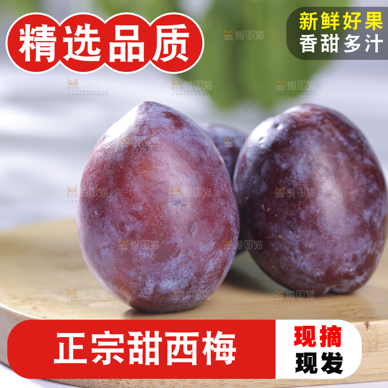 浅底上的西梅